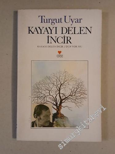 Kayayı Delen İncir / Dün Yok mu -        1994