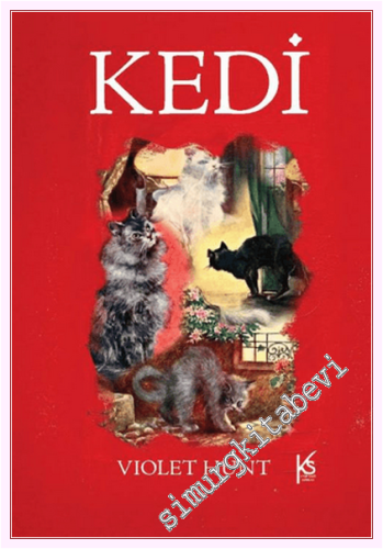 Kedi -         2026