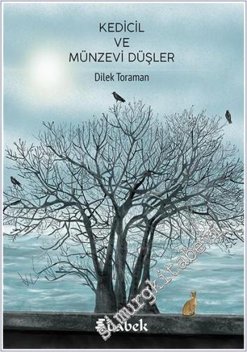 Kedicil ve Münzevi Düşler - 2025