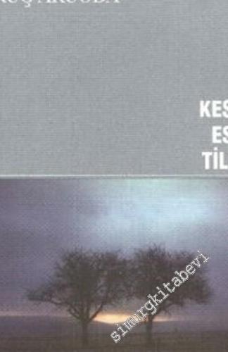 Kesik Esintiler -        2001