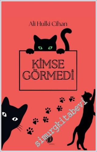 Kimse Görmedi -        2025