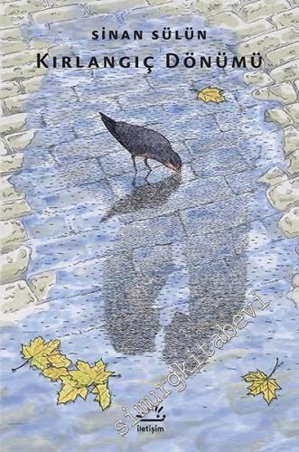 Kırlangıç Dönümü -