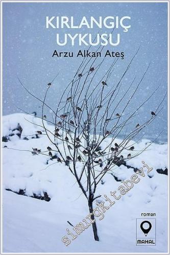 Kırlangıç Uykusu -        2024