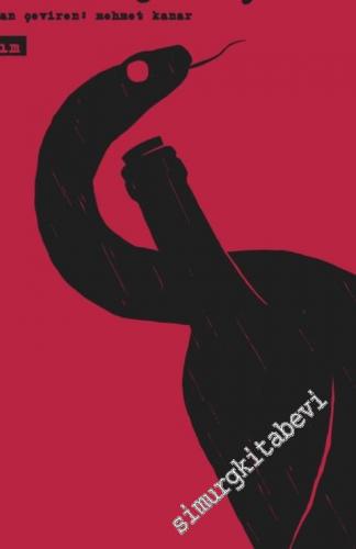 Kör Baykuş -        2016