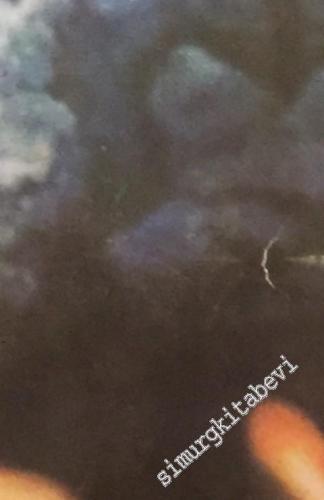 Kör Randevu -        1981