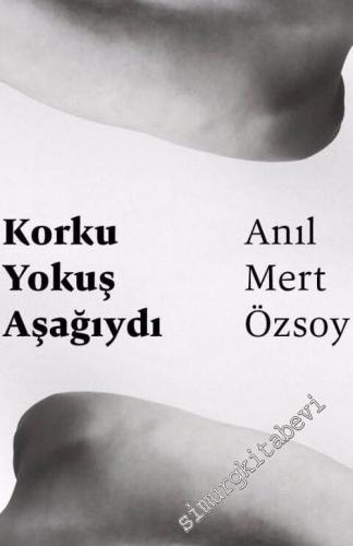 Korku Yokuş Aşağıydı -