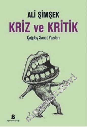Kriz ve Kritik: Çağdaş Sanat Yazıları