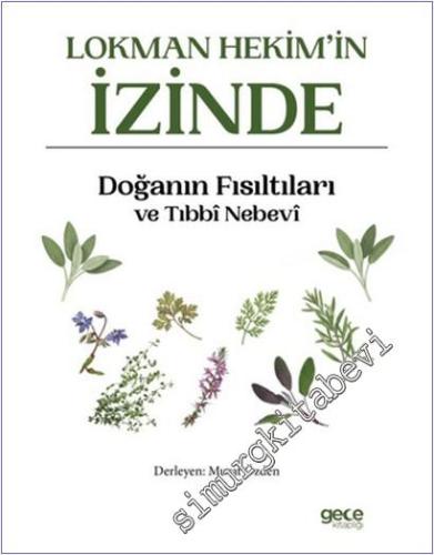 Lokman Hekim'in İzinde -        2025