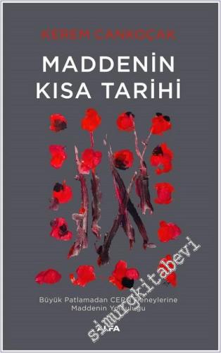 Maddenin Kısa Tarihi : Büyük Patlamadan CERN Deneylerine Maddenin Yolculuğu -        2025