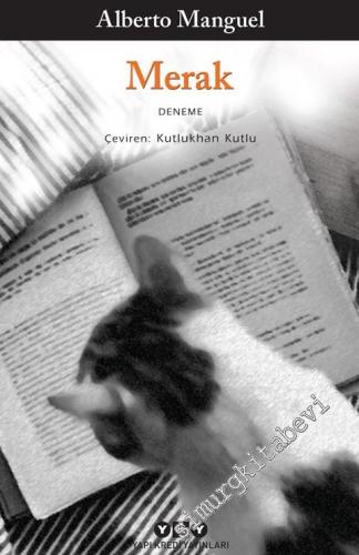 Merak -