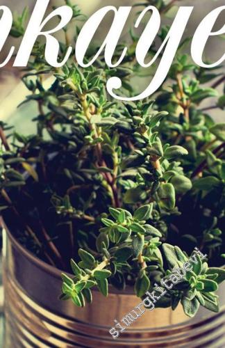 Modern Gürcü Hikâyeleri -