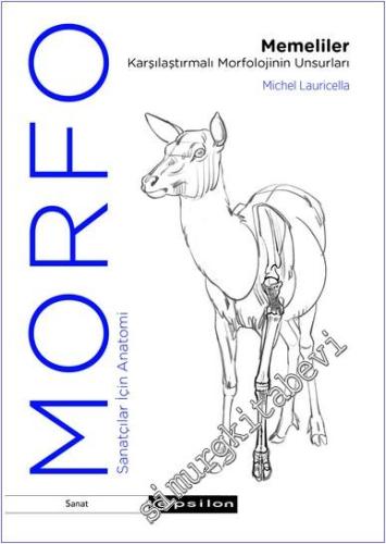 Morfo Memeliler Karşılaştırmalı Morfolojinin Unsurları -        2024