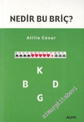 Nedir Bu Briç -        2003