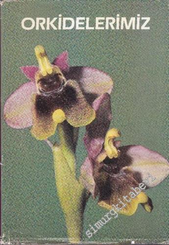 Orkidelerimiz