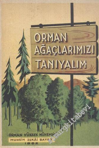 Orman Ağaçlarımızı Tanıyalım -