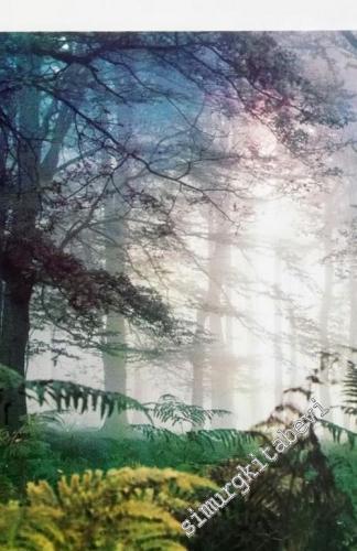 Ormanlarımız -        1973