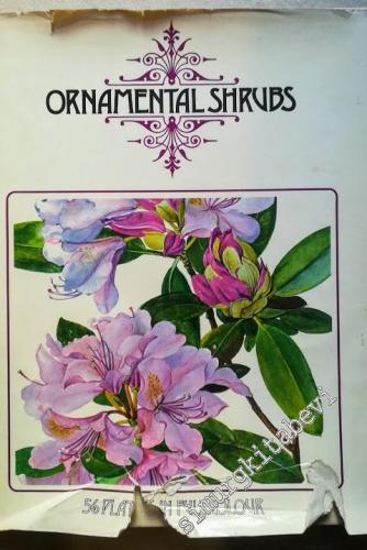 Ornamental Shrubs: 56 Plants in Full Colur