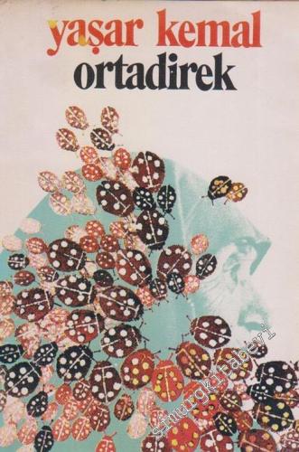 Ortadirek : Dağın Öte Yüzü 1 -        1980