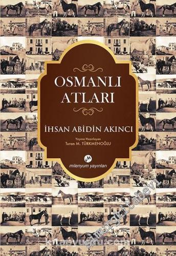 Osmanlı Atları -        2017