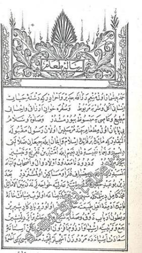 OSMANLICA Melceüt Tabbahin ( Risale-i Taam )