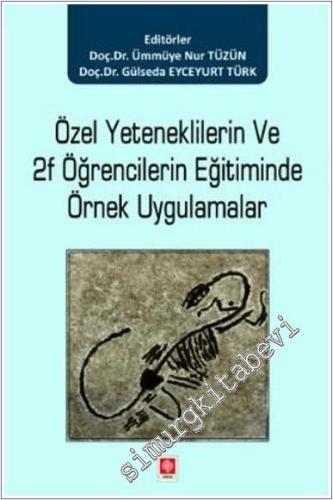 Özel Yeteneklilerin ve 2F Öğrencilerin Eğitiminde Örnek Uygulamalar -        2025