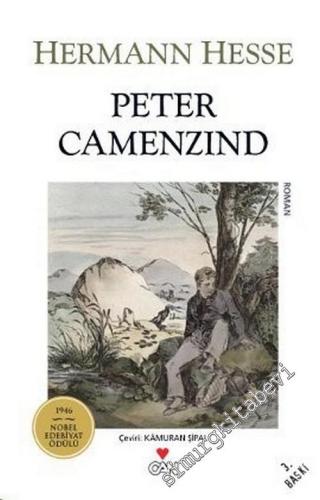 Peter Camenzind -        2013