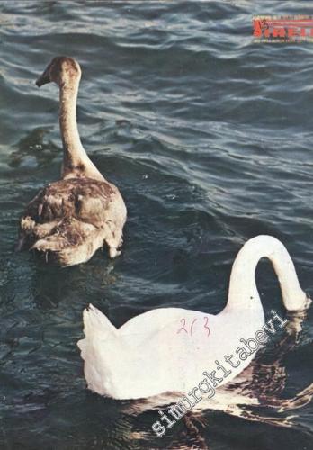 Pirelli: Aylık Mecmua ( Dergi ) - Yıl: 18; Sayı: 213; Haziran 1982