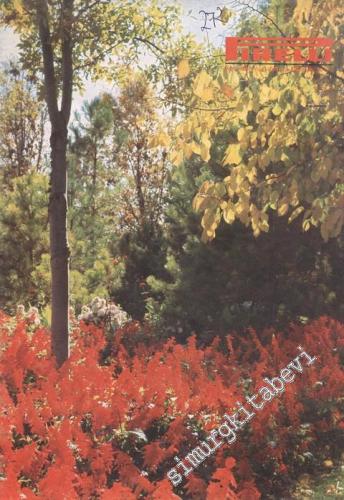 Pirelli: Aylık Mecmua  - Yıl: 23; Sayı: 272; Mayıs 1987