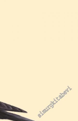 Posta Kutusundaki Mızıka -        2018