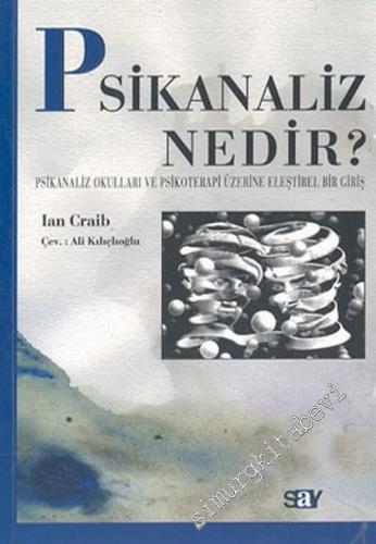 Psikanaliz Nedir?: Psikanaliz Okulları ve Psikoterapi Üzerine Eleştirel Bir Giriş -        2008