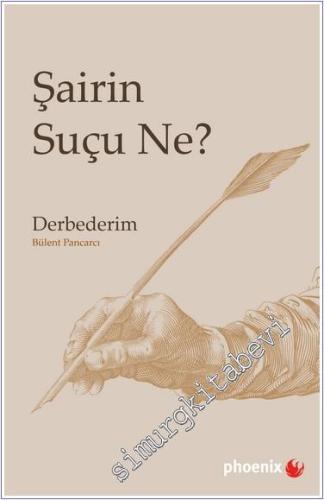 Şairin Suçu Ne - Derbederim -        2024