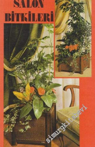 Salon Bitkileri -
