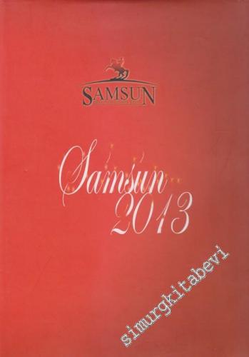 Samsun 2013