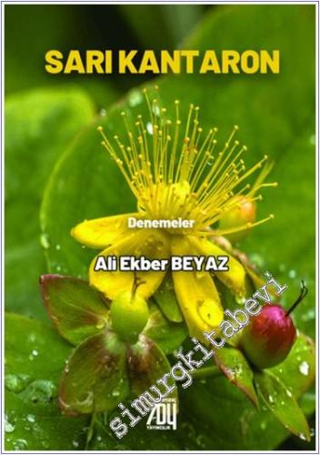 Sarı Kantaron -        2024