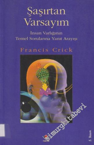 Şaşırtan Varsayım: İnsan Varlığının Temel Sorunlarına Yanıt Arayışı -