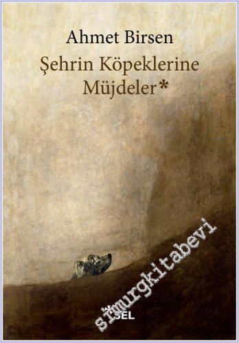 Şehrin Köpeklerine Müjdeler