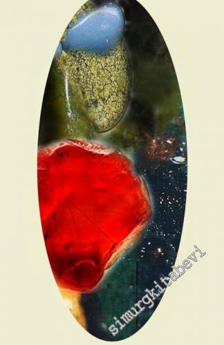 Şifalı Taşlar Kitabı -