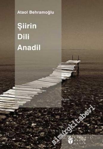 Şiirin Dili: Anadil