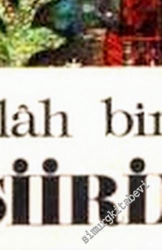 Şiirin İlkeleri -        1976