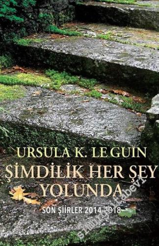 Şimdilik Her Şey Yolunda : Son Şiirler 2014 - 2018 -