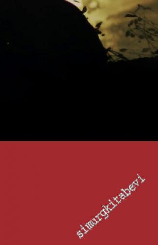 Sinecine: Sinema Araştırmaları Dergisi / Sinecine Journal of Film Studies 2017/1 - Sayı: 9      Bahar / Spring