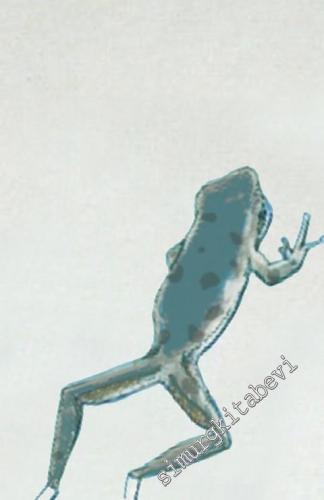 Sınırları Aşarak Yaşamak: Bir Sosyal Bilimcinin Yaşamından Anılar -        2023