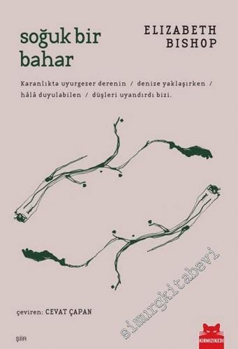 Soğuk Bir Bahar -        2015
