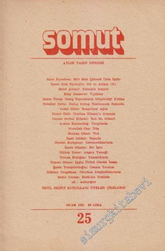 Somut Aylık Yazın Dergisi - Sayı: 25      Ocak