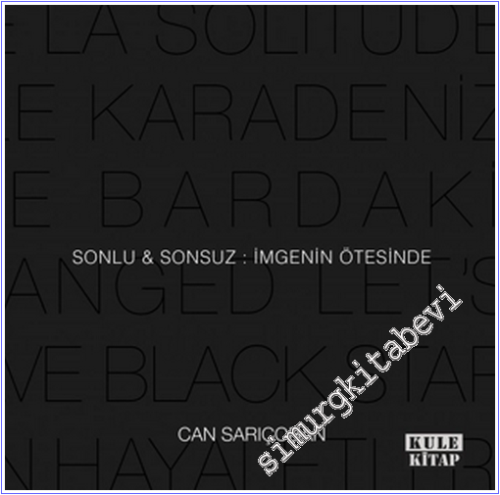 Sonlu ve Sonsuz : İmgenin Ötesinde -        2026