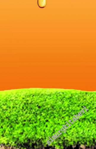 Sosyal Sermaye Teorisi ve Sürdürülebilir Yerel Kalkınma -