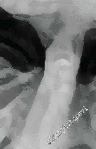 Tanrı Belki Esirger Aşkı -        2016