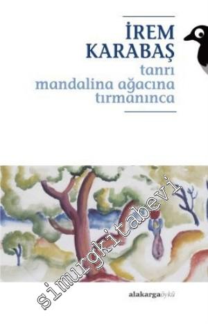 Tanrı Mandalina Ağacına Tırmanınca -