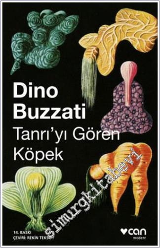 Tanrıyı Gören Köpek -        2024