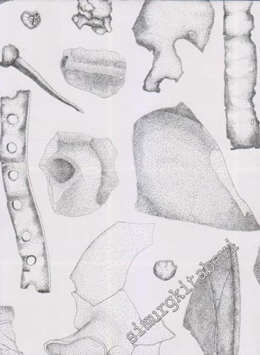 Taşlar Konuşuyor: The Stones Talk -        2013